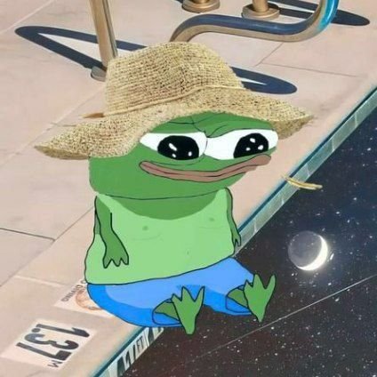 mo_giaco's profile picture. i love ducks