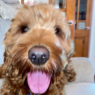 NeilDitchfield1's profile picture. 