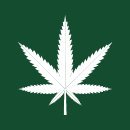 Your daily cannabis news source: legalization, education, growing, CBD, and anything related to medical marijuana news