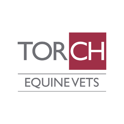 TorchEquineVets Profile Picture