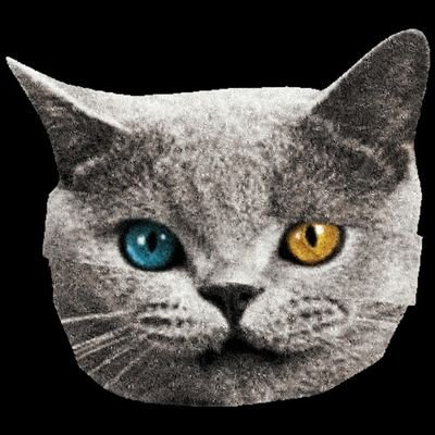 iamtire49171892's profile picture. Getting tired to live