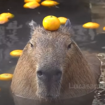 freemoney43's profile picture. lol