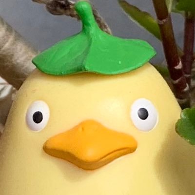 大トト〇🌗さんのプロフィール画像