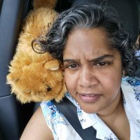 Karen Holland (@kazberry99) Twitter profile photo
