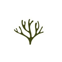 Restaurant Codium (@restcodium) 's Twitter Profile