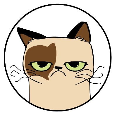 Just a Grumpy Cat

https://t.co/fPgZQcdAx1

 https://t.co/pyk7qdRzHm