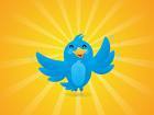 NewBirdHelp's profile picture. Click the link above to check out Everything Twitter, a site with great tools, apps, and services built around Twitter. Some very cool stuff! Special bonus too