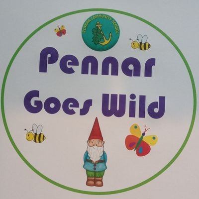 Pennar Community School outdoor learning and environmental education.
