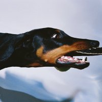 OvermonoTom (@truss_101) 's Twitter Profile Photo