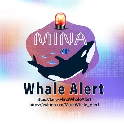 The Mina blockchain tracker reporting large transactions as they happen. by @talhaB62