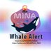 Mina Whale Alert 🪶 (@MinaWhale_Alert) Twitter profile photo