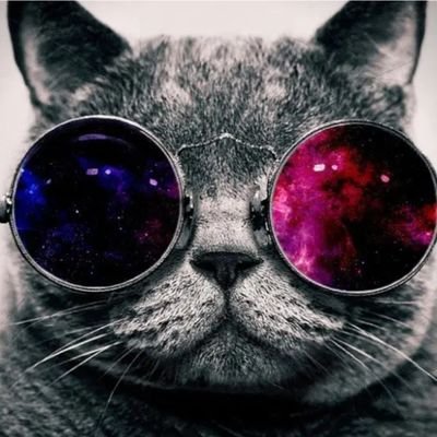 KaptanSparrow10's profile picture. 