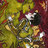 andyhille's profile image