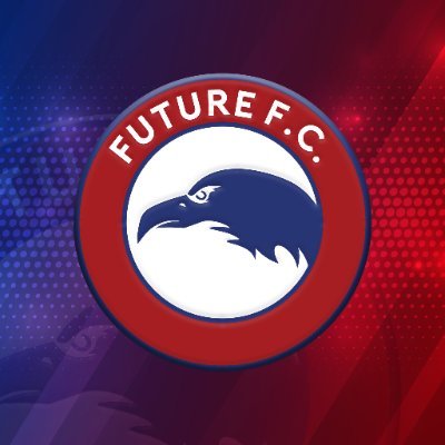 Future F.C is egyptian football team playing in the first division located in egypt

#Futurefc