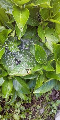 7rqIO8HM31lvCak's profile picture. 