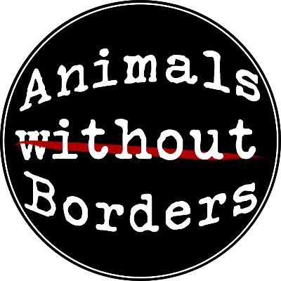 Animals and #animalrights matter. 🌱🌻