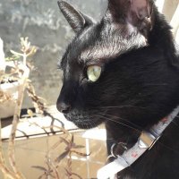 michu (@sramichu) 's Twitter Profile