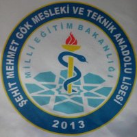 Şehit Mehmet Gök Mesleki ve Teknik Anadolu Lisesi (@horasansmgmtal) Twitter profile photo