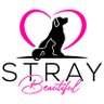 stray_beautiful's profile picture. I raise funds & awareness to help make the lives of stray animals all over the world better! 🐾501c3 Donate in linktree👇