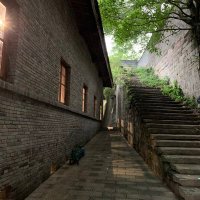 弯刀-重庆023 (@aboutleon1) 's Twitter Profile