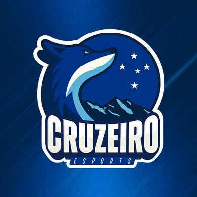 Perfil oficial @Cruzeiro Esports 🦊 #GoCRZ

@KlashXOficial | #RiderPlace