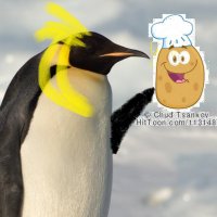 League Of Penguins🐧🥔 (@leaguepenguins) 's Twitter Profile