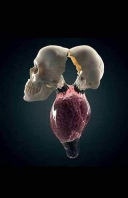 orthopaedic surgeon #orthopaedics #traumatology