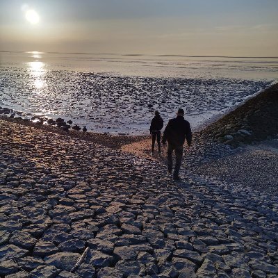 SimonBroekstra's profile picture. 