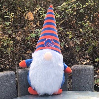 I'm Boise's cutest trash gnome. Can you help me with with my mission to keep our city clean?