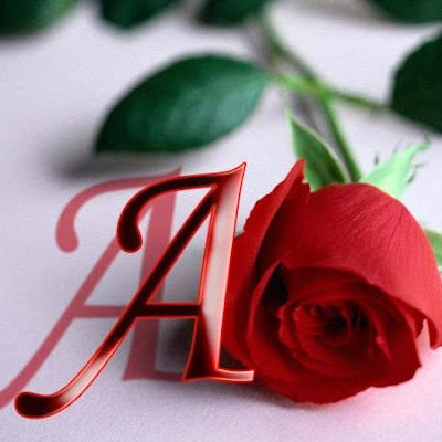 EiHmSz5gW4ZN9E2's profile picture. 