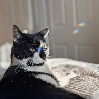 thatsthespirich's profile picture. 