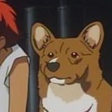 Alex Jones (@alextjones8) 's Twitter Profile