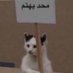 Noor☀️ ✌🏻 (@noor27873487) Twitter profile photo Noor☀️ ✌🏻 (@noor27873487) Twitter profile photo