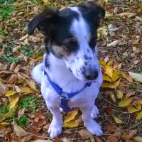 Jose Manuel Cabana (@rubiocospeito) 's Twitter Profile
