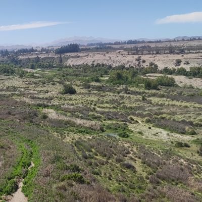 jose_espinoza_'s profile picture. No hay nada más caro que lo gratis.