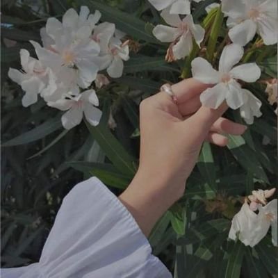 استاذه رياضيات