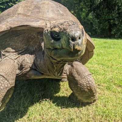 JLloydMM's profile picture. Deck chair rearranger