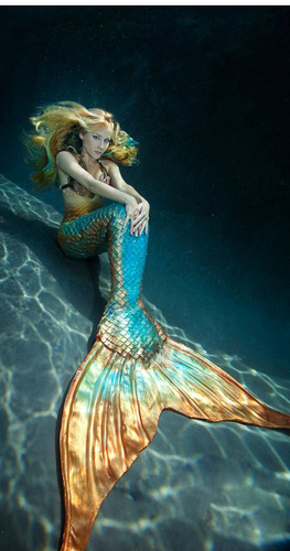 Mertailor's profile picture. I just make kick ass Mermaid Tails