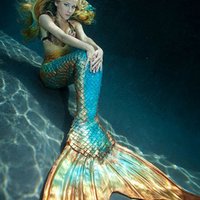 Mertailor (@mertailor) 's Twitter Profile