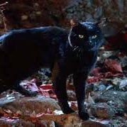 Immortal Cat. Hocus Pocus RP Crossovers Welcome