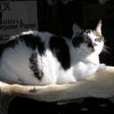 Christian Carpenter - @carpentersapron - Twitter