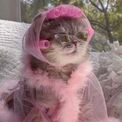 mugayarr's profile picture. 