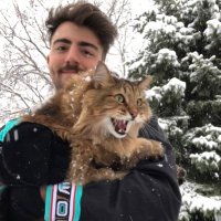 kylojally (@kylojally) 's Twitter Profile Photo