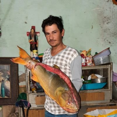 JulioRamnRojas2's profile picture. 