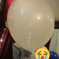 バブルス (@bubbles_ballon) 's Twitter Profile Photo バブルス (@bubbles_ballon) 's Twitter Profile Photo