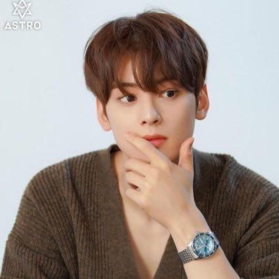 lhlolnlelyl_CEW's profile picture. 💜🐻Support Cha Eun-Woo🐻💜 차은우,mommy อีดงมิน  Love ASTRO✡️
