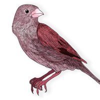 JazzBook ®️ (@jazzbook_) 's Twitter Profile Photo