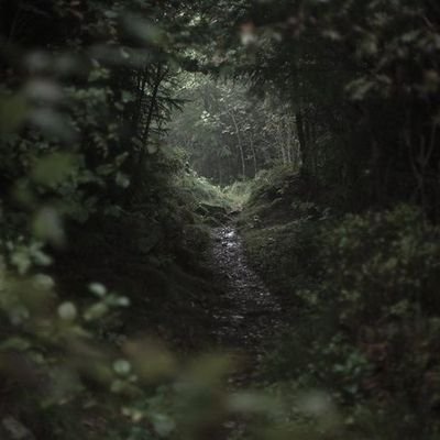 movedさんのプロフィール画像