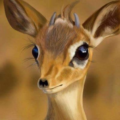 Sambamare's profile picture. 