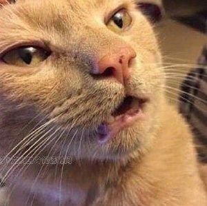 Lusan633's profile picture. blablabla